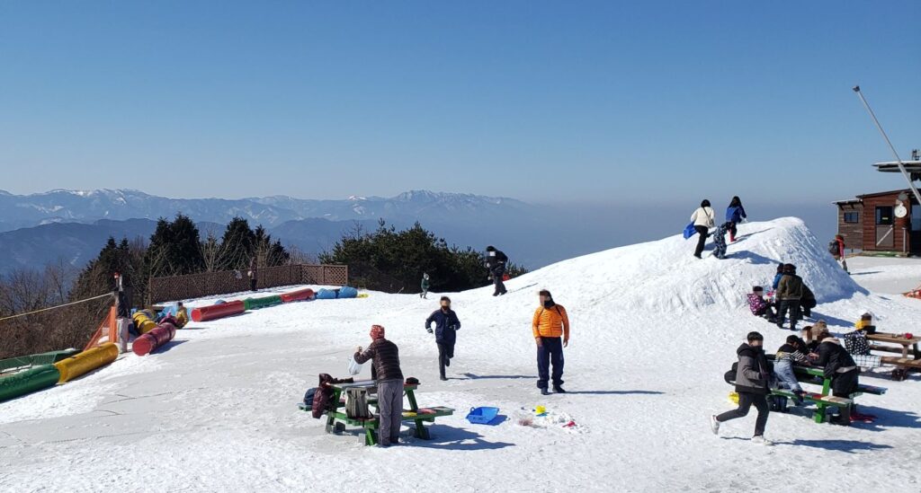 雲辺寺山頂公園のソリ遊び(冬季限定)